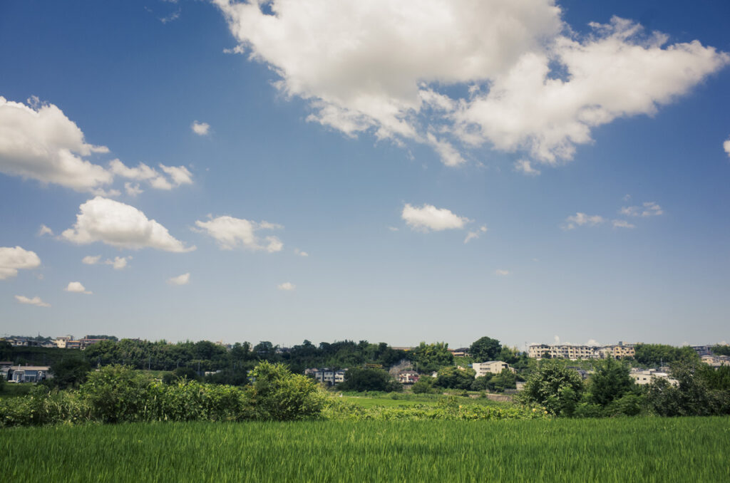 金胎寺山の麓をRolleiflex Tを持って歩いて散歩写真してきた