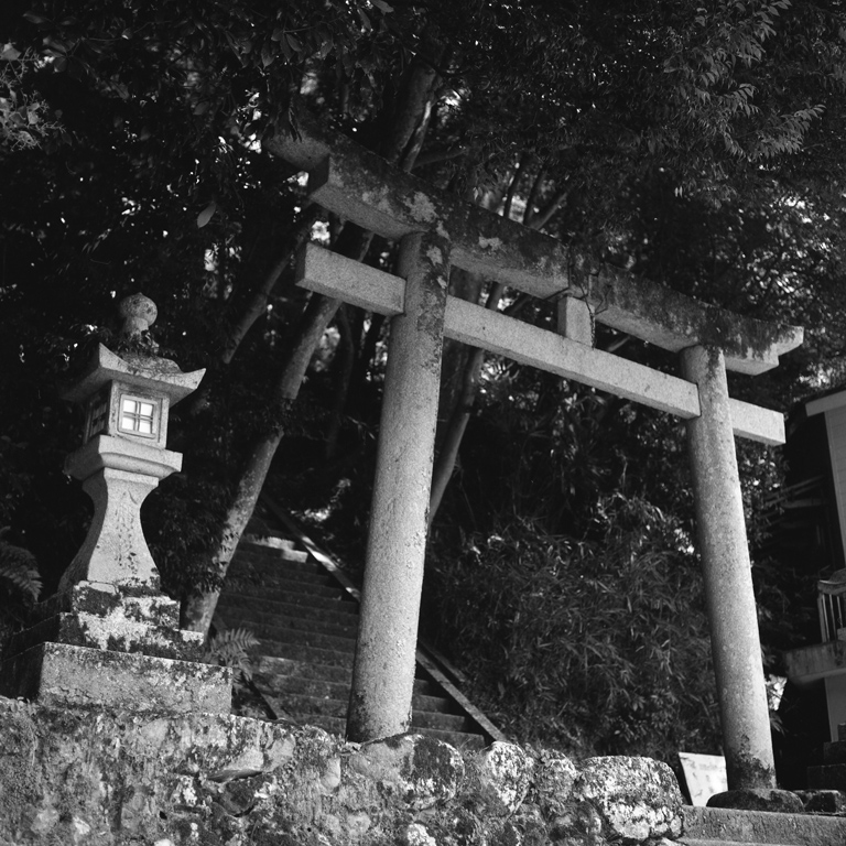 蟹井神社の鳥居