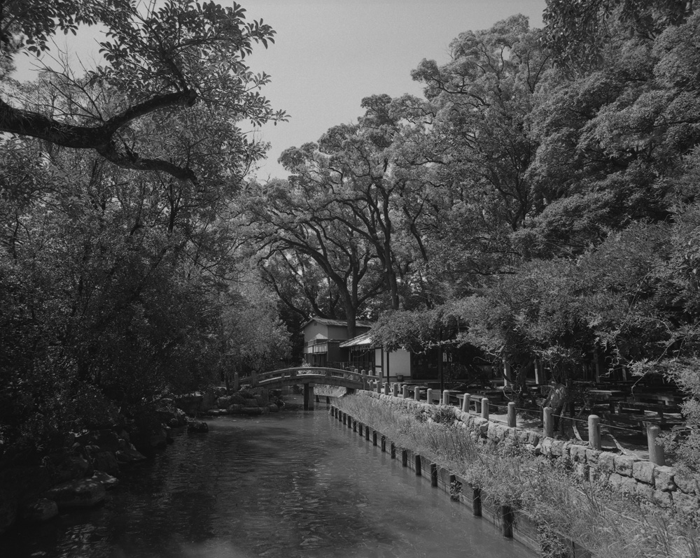 西宮神社の境内の池