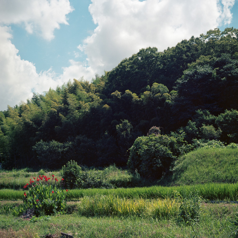 金胎寺山の麓周辺