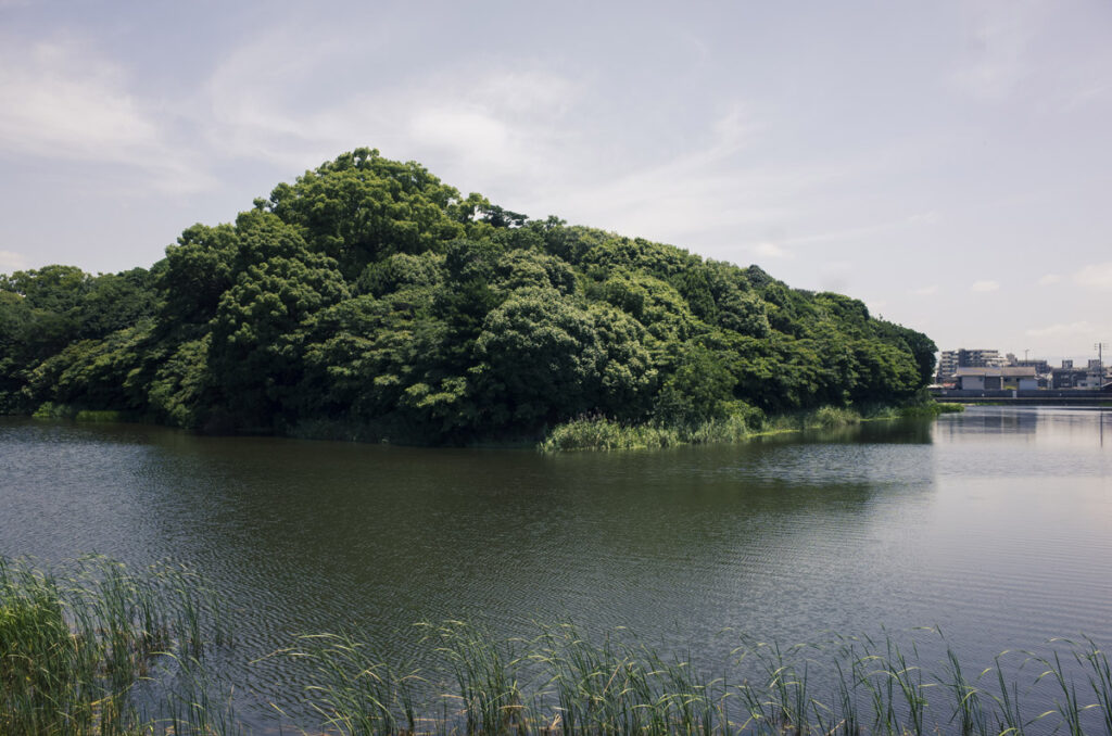 大阪府堺市の御廟山古墳(百舌鳥陵墓参考地)で写真を撮ってきた