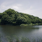 大阪府堺市の御廟山古墳(百舌鳥陵墓参考地)で写真を撮ってきた