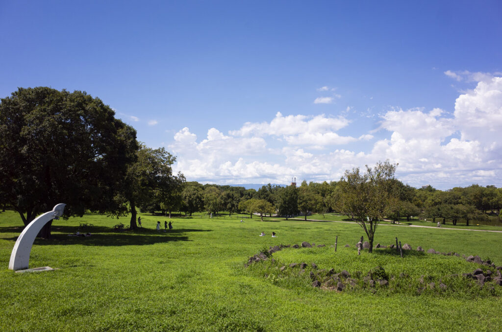 Rolleiflex2.8FにMuter0.7xを付けて大仙公園に写真を撮りに行ってきた