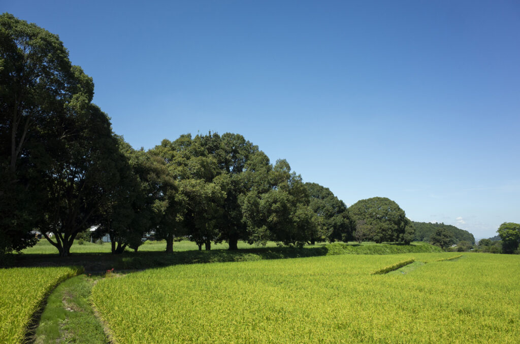 奈良県の明日香村周辺を歩いて回り写真撮影を楽しんできた