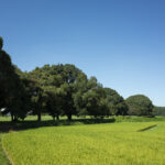 奈良県の明日香村周辺を歩いて回り写真撮影を楽しんできた