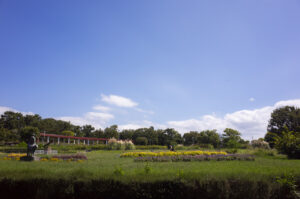 大阪府豊中市の服部緑地に写真を撮りに行ってきました