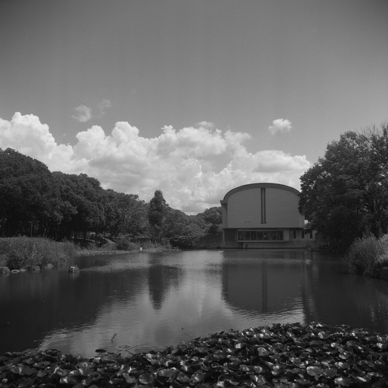 池の景色