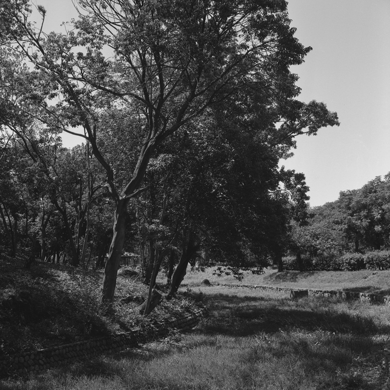 大仙公園の景色3