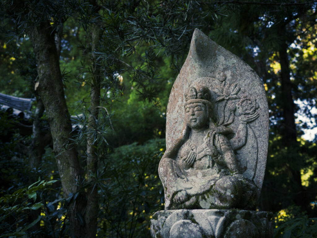 大阪府河内長野市の紅葉の名刹として有名な延命寺に行ってきた