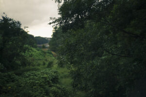 雨の日に近隣の公園でライカレンズを付けて散歩写真してきた