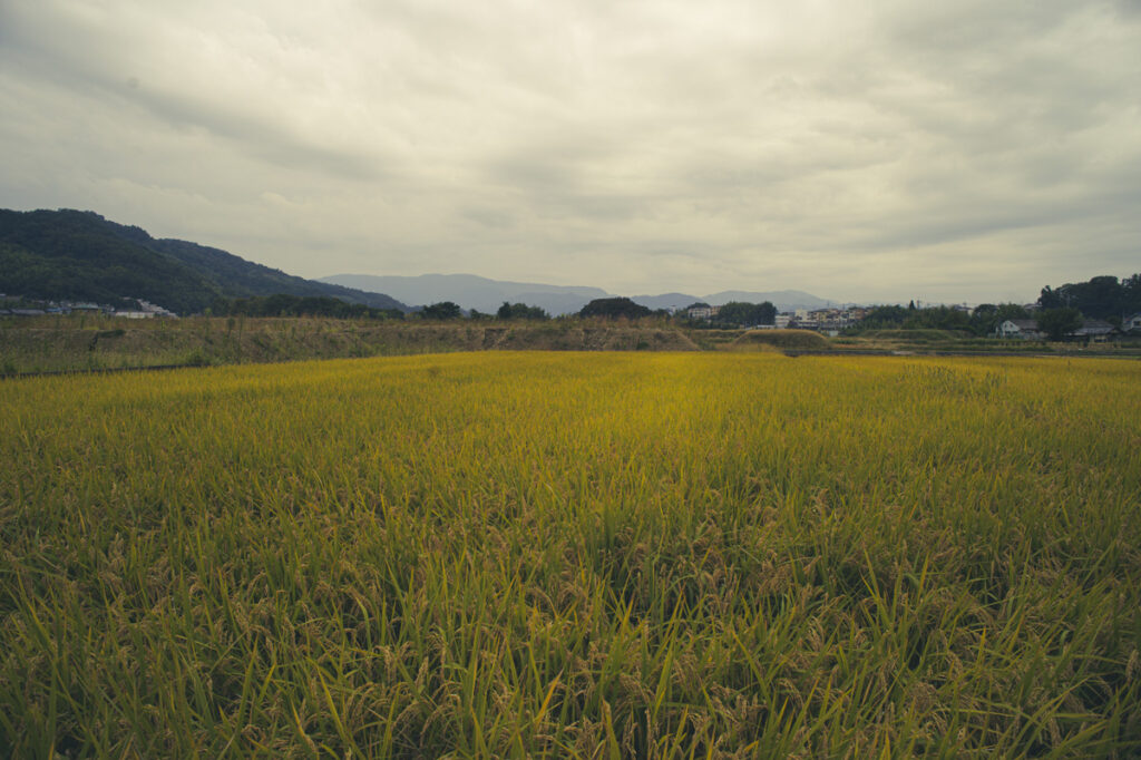 大阪府富田林市の汐ノ宮駅周辺の西野々古墳群に行ってきた