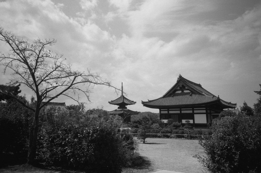 叡福寺の風景12