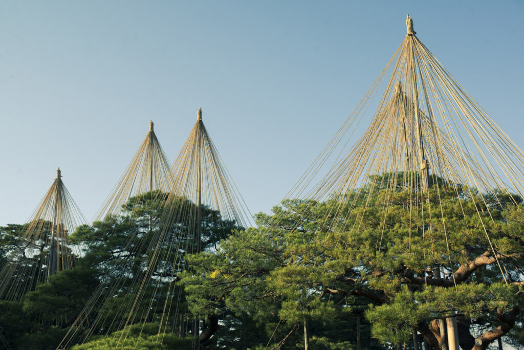 文化財指定庭園 特別名勝 兼六園に写真撮影に行ってきた