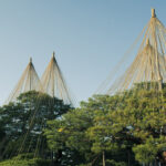 文化財指定庭園 特別名勝 兼六園に写真撮影に行ってきた