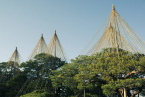 文化財指定庭園 特別名勝 兼六園に写真撮影に行ってきた