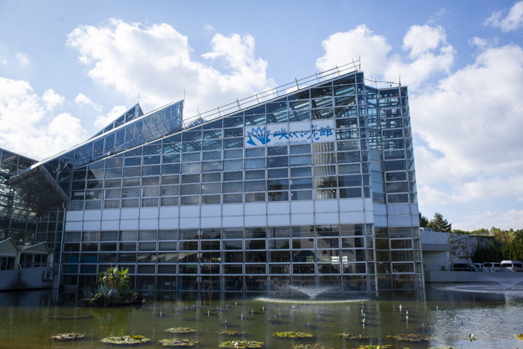 咲くやこの花館へ行ってきた、2023年11月の旬の植物や花を撮影