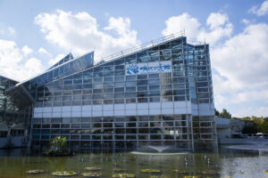 咲くやこの花館へ行ってきた、2023年11月の旬の植物や花を撮影