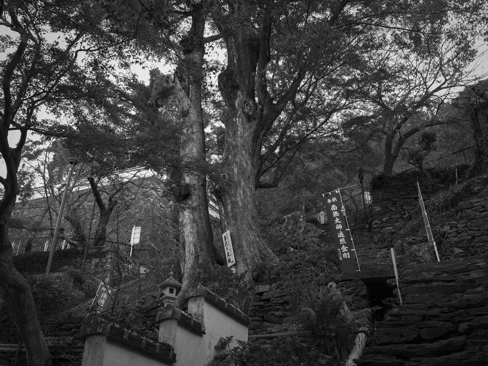 紀三井寺の景色1