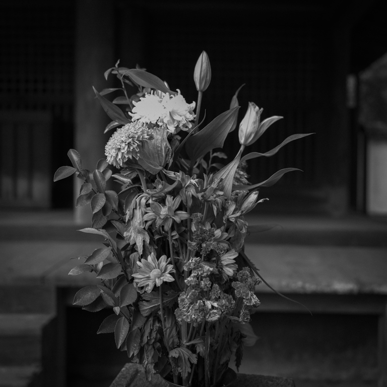 紀三井寺の景色10
