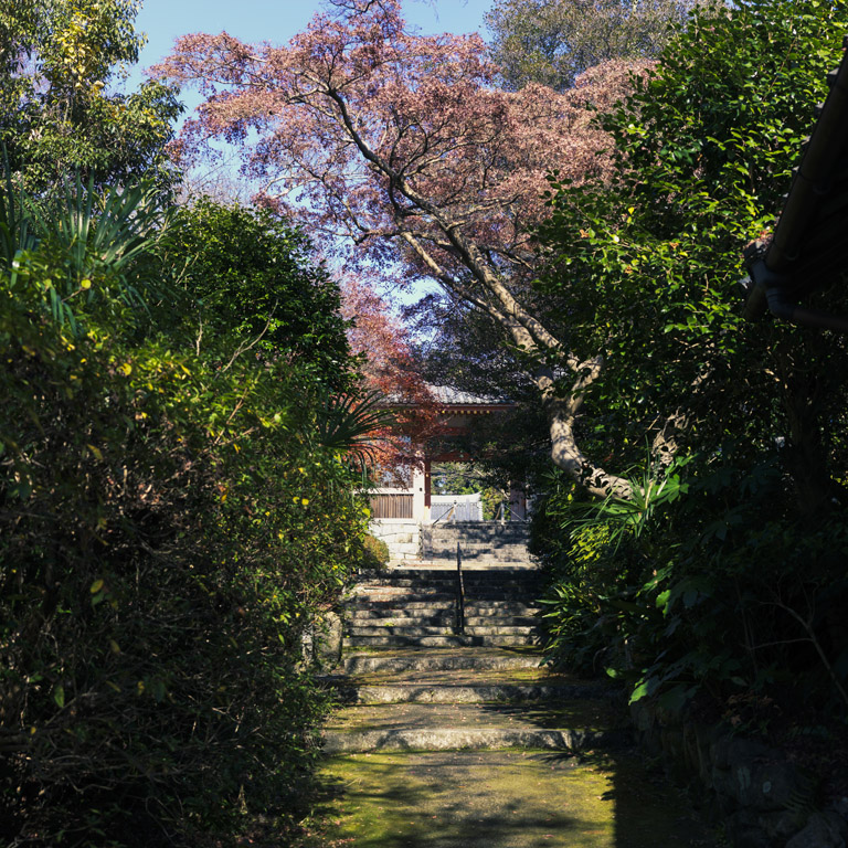 龍泉寺の参道