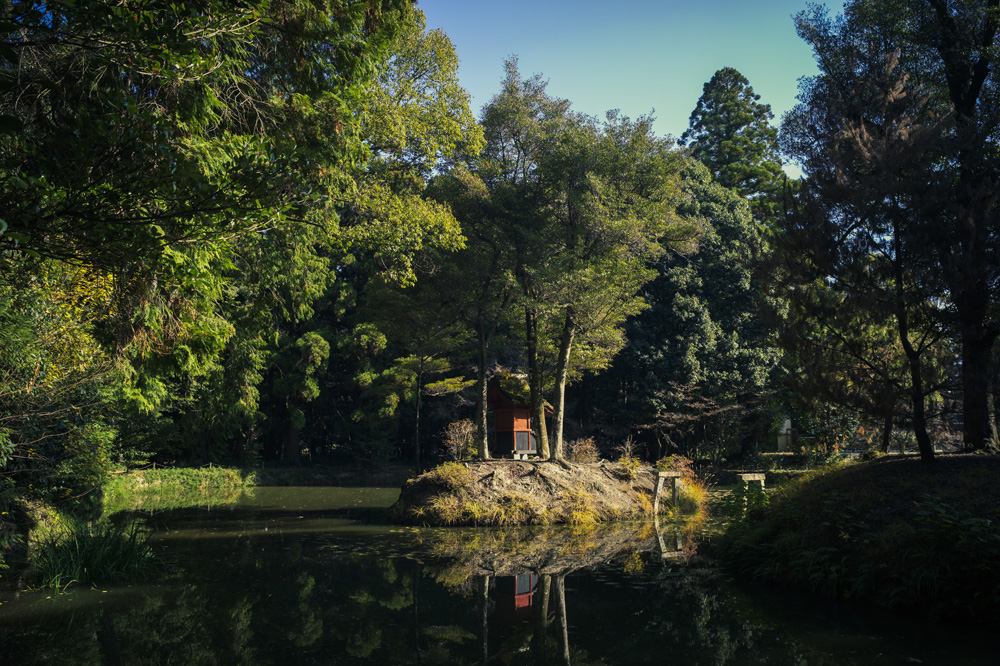 大阪府富田林市の嶽山の中腹にある龍泉寺に行き写真を撮ってきた