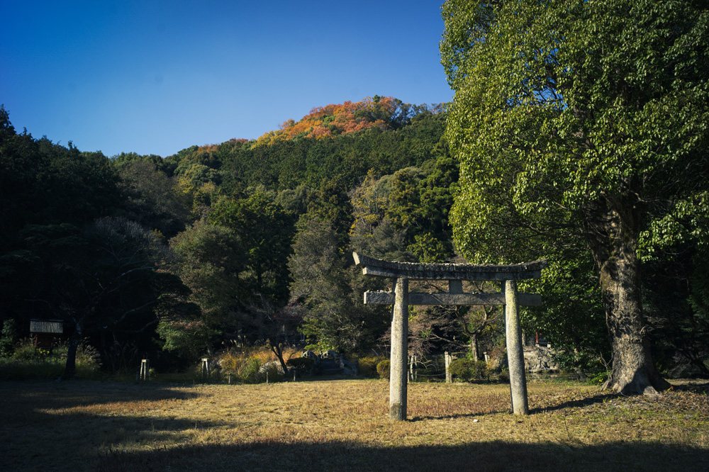 龍泉寺庭園の景色1