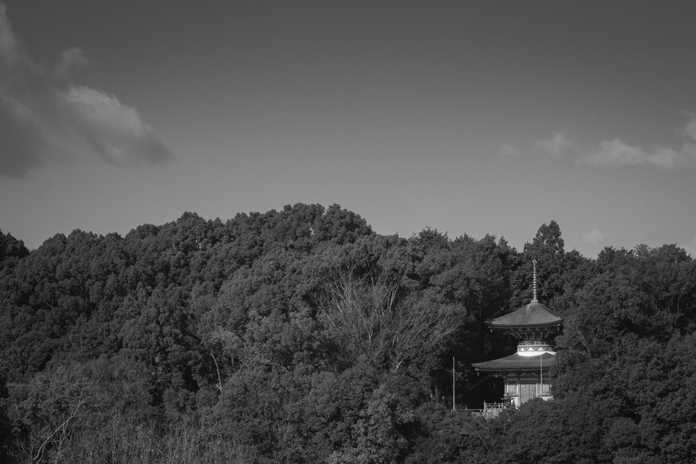 瀧谷不動尊 多宝塔が見える景色