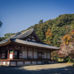 大阪府河内長野市の観心寺に秋の終わり頃の景色を撮影してきた
