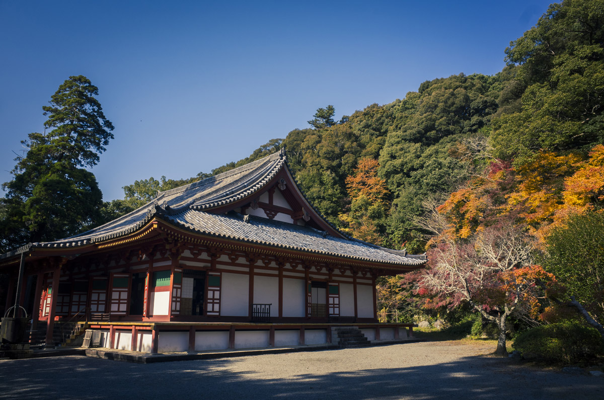大阪府河内長野市の観心寺に秋の終わり頃の景色を撮影してきた