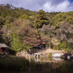 龍泉寺の庭園をLinhofを使い6x17のパノラマ撮影をしてきた