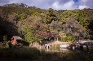 龍泉寺の庭園をLinhofを使い6x17のパノラマ撮影をしてきた
