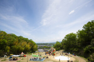 和歌山県橋本市の杉村公園に行って森林と吊り橋を撮影してきた