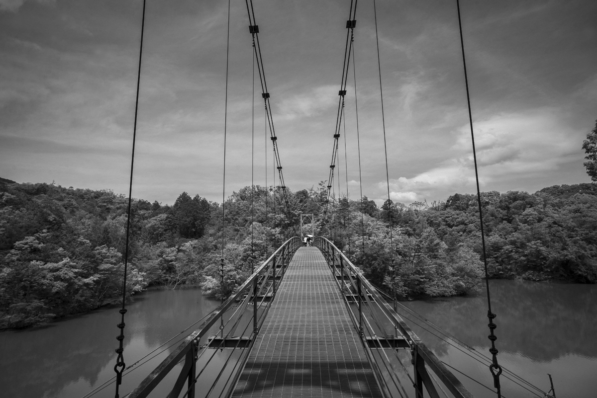 杉村公園の吊り橋の上から