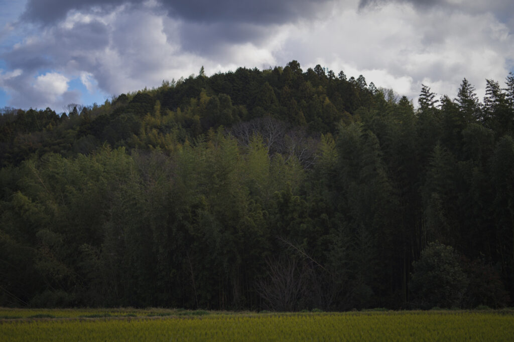 大阪府富田林市の嶽山を登りながら風景写真を撮ってきた