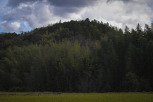 大阪府富田林市の嶽山を登りながら風景写真を撮ってきた