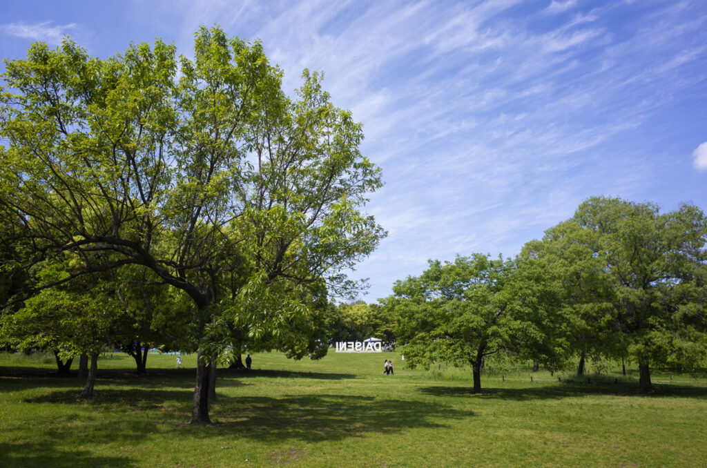 Horseman SW612を持って大仙公園に行きパノラマ撮影をしてきた