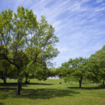 Horseman SW612を持って大仙公園に行きパノラマ撮影をしてきた