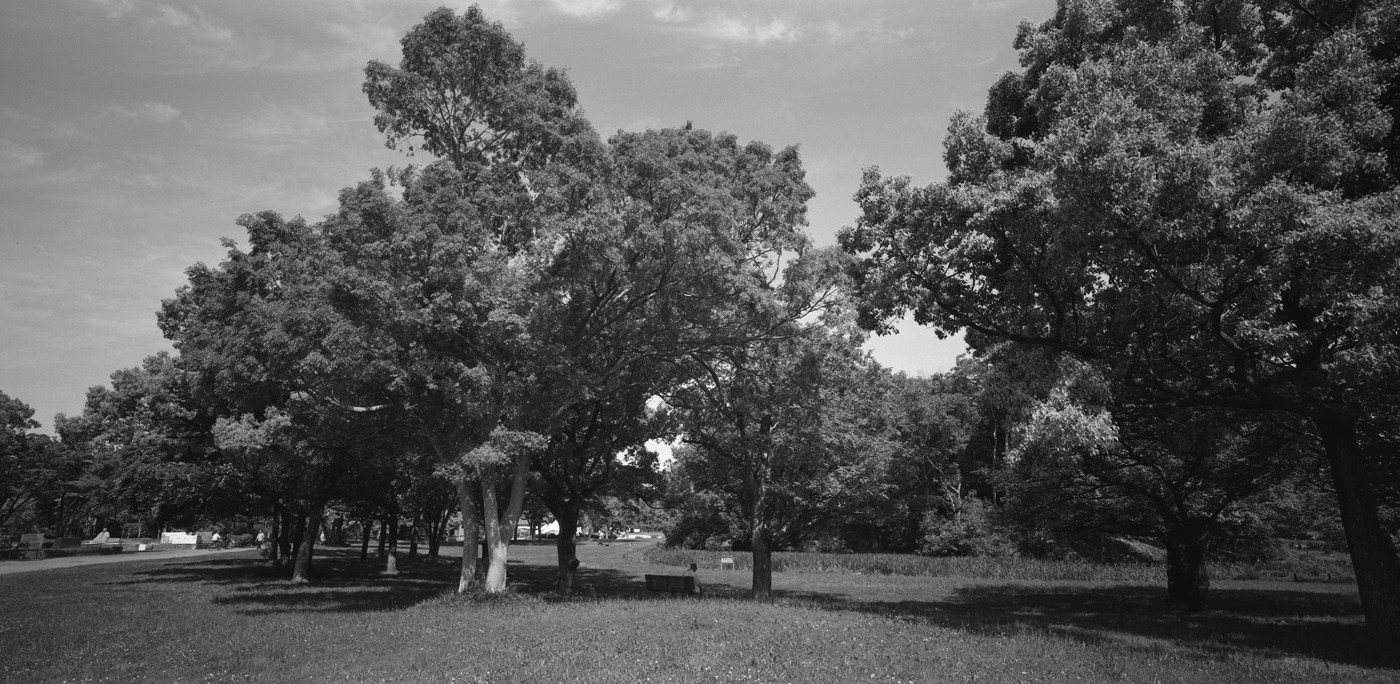 大仙公園の景色1