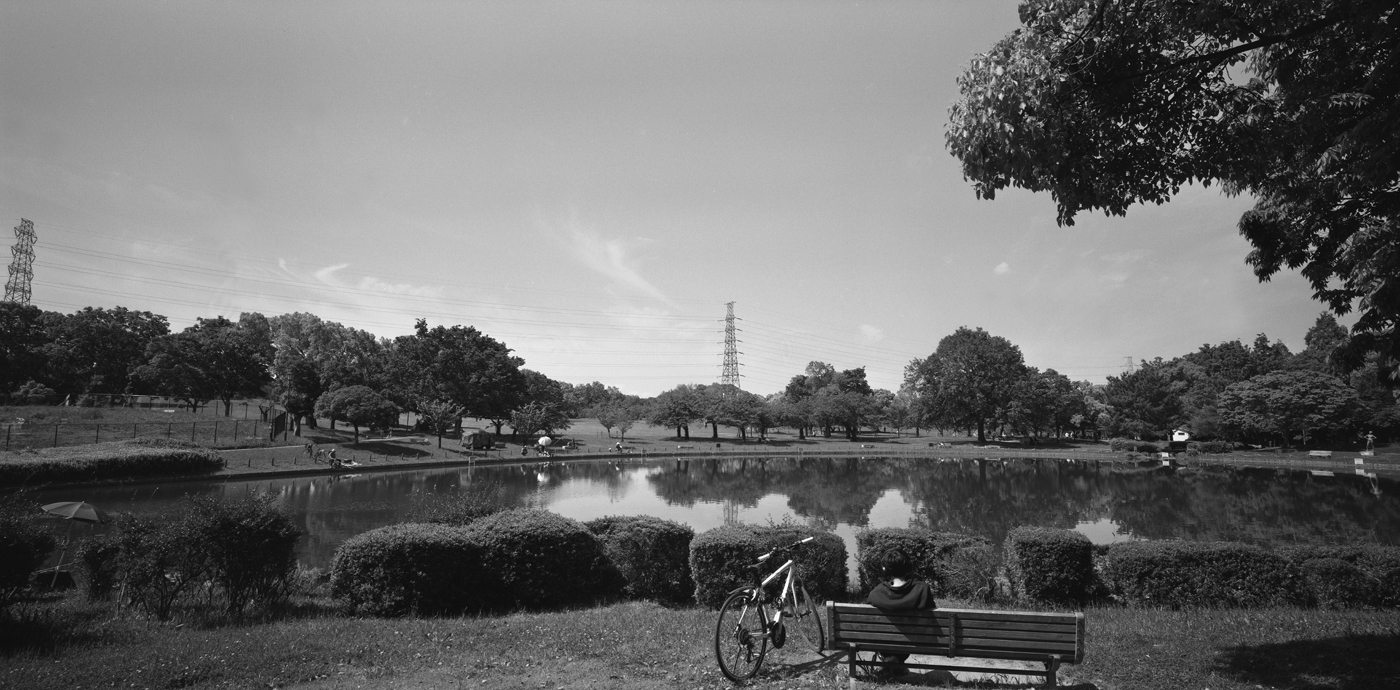大仙公園の景色3