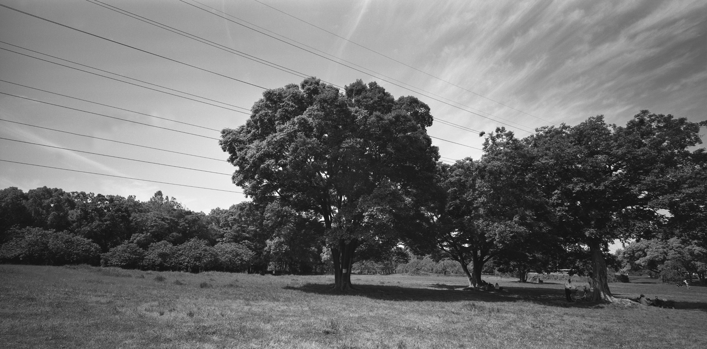 大仙公園の景色4