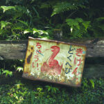 和歌山県橋本市の杉村公園を散歩感覚で撮影して歩いてきた