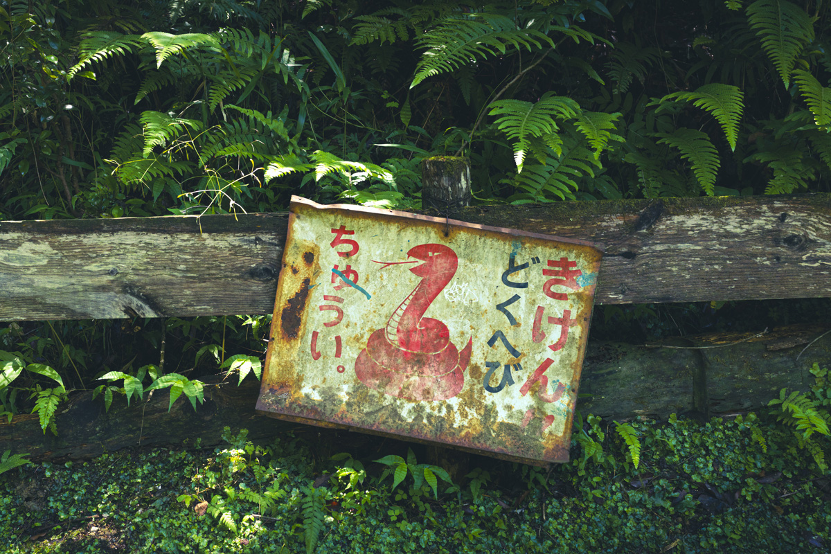 和歌山県橋本市の杉村公園を散歩感覚で撮影して歩いてきた
