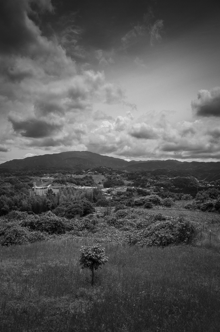散歩写真3