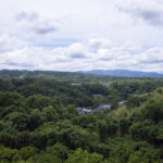 体力改善を兼ねてウォーキングをしながら写真撮影をしてきた