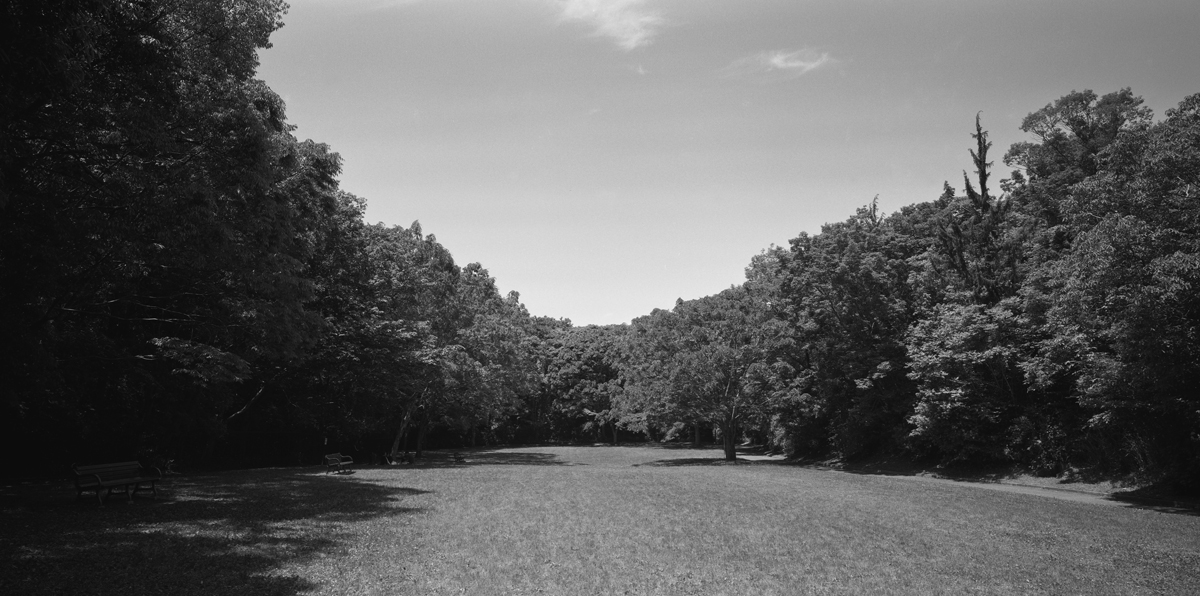 錦織公園の風景2