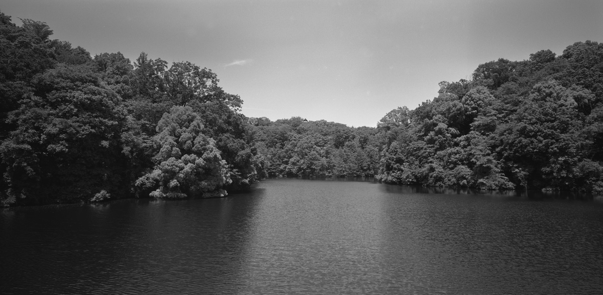 錦織公園の風景4