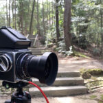 奈良県葛城市の當麻山口神社に行って写真を撮ってきた