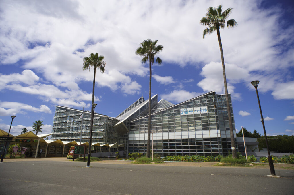 咲くやこの花館へ行ってきた、2024年8月の旬の植物や花を撮影