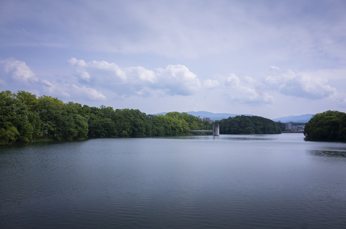 リンホフの大判カメラも持って寺ヶ池公園で風景撮影してきた