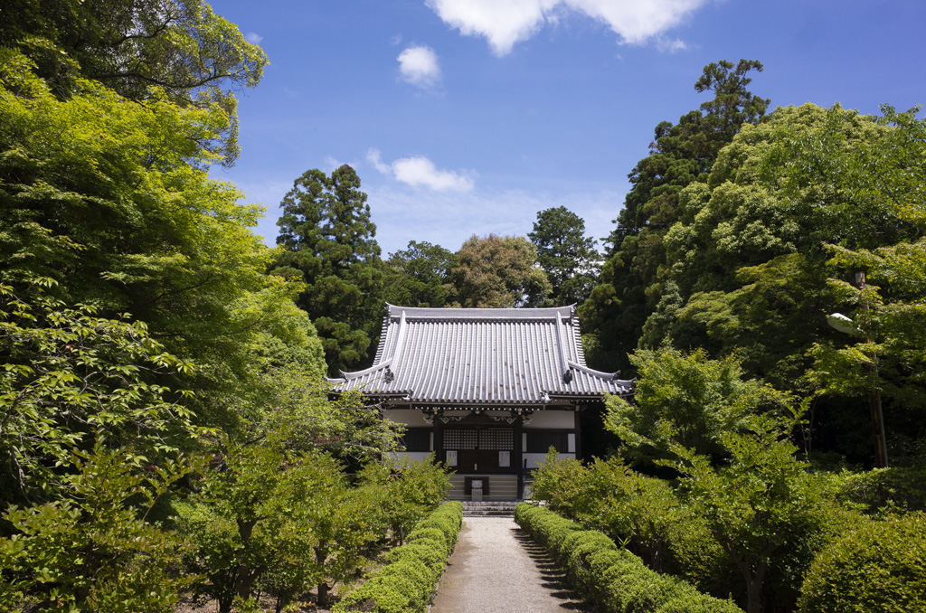 大阪府富田林市の龍泉寺に行ってパノラマカメラで撮影してきた